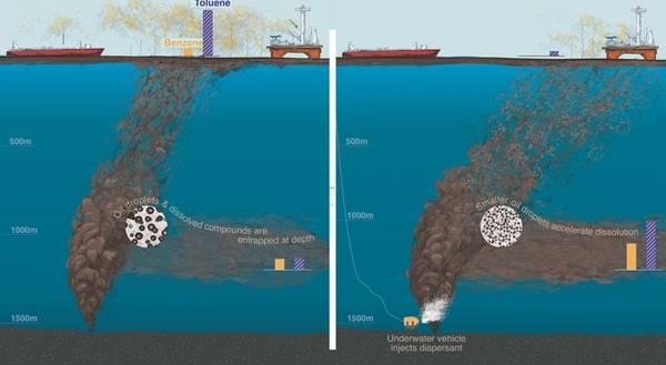 (Imagen: Natalie Renier, Institución Oceanográfica Woods Hole)