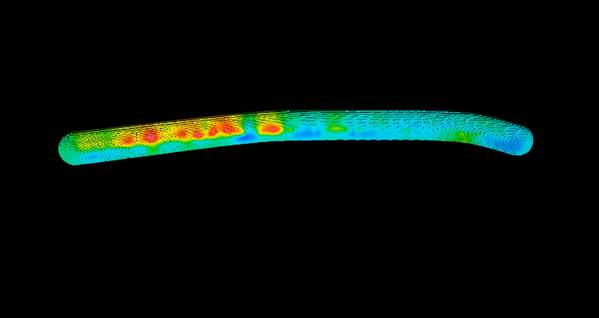 3D-инверсия обеспечивает точное представление о пласте для точного размещения скважины. (Изображение: Halliburton)