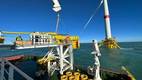 (Credit: Asso.subsea)