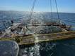 (Credit: Green Marine UK)
