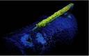 Figure 1: 3D Volumetric Measurement of Anode. Image courtesy Kraken Robotics