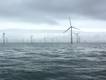 The Gwynt Y Mor wind farm. Photo from Rovco.