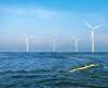 Image courtesy Terradepth/Hypack
