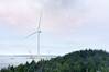 Vestas Records First Quarter Profit Despite Predictions