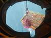 Sentinel Subsea Completes Well Monitoring Job in North Sea