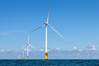 Democratic-Led Coalition Sues Trump for Halting Offshore Wind Projects