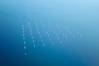 Ørsted Discontinues 2.4GW Hornsea 4 Offshore Wind Farm in UK