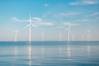 Stakeholders Wary of Partial Decommissioning of Offshore Wind Farms