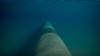 Survey Sequence Important to Predicting Underwater Landslides