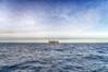 Veolia to Provide Seawater Desalination Tech for Two Santos Basin FPSOs