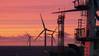 Baltic Eagle Offshore Wind Farm Comes Online in Germany