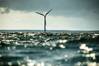 GHD Takes EIA Approvals Lead for Australian 1GW Offshore Wind Project