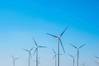 New York Terminates Offshore Wind Transmission Plan Due to Federal Uncertainty