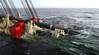 Allseas-Boskalis Consortium Bags $1.4B Offshore Gas Pipeline Job in Taiwan