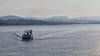 Reach Subsea Completes Inspection for TotalEnergies Using USV/ Electric ROV