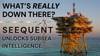 What’s really down there? Seequent Unlocks Subsea Intelligence.