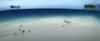 Petrobras Signs Up TechnipFMC for Subsea Production Systems Delivery