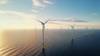Offshore Wind Leaders Urge Europe to Accelerate Permits As Trump Freezes US Market