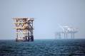 Oil Prices Drop after Report on UAE Debating OPEC Exit
