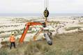 TenneT Begins Drilling Under D