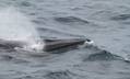 US Delays Rule on Gulf of Mexi