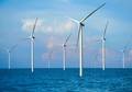 Trump Halts US Wind Farm Proje