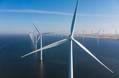 Seraya Partners Considers Sale