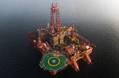 Dolphin Drilling Signs Multi-Y