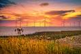 Siemens Gamesa CEO: Wind Turbi