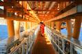 Norway Offshore Workers, Emplo
