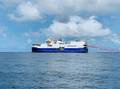 Shearwater Awarded Two 3D Seis