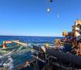 PMS Completes Subsea Pipeline 