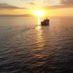 Eni Enlists Shearwater for 3D Seismic Survey in Timor Sea