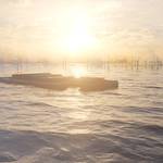 Elia Secures $1.1B EIB Loan for Princess Elisabeth Energy Island