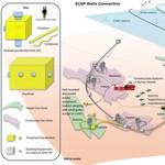 Amplitude Energy Takes FID on Otway Gas Project, Sanctions Nestor Well