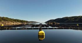 Tension Buoy installed in Risør in Norway (Credit: Fred. Olsen 1848) 