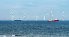 © Federico Rostagno / Adobe Stock