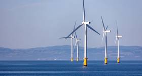 © Cynthia / Adobe Stock