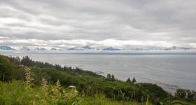 © htrnr / Adobe Stock