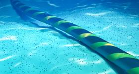 © katestudio / Adobe Stock