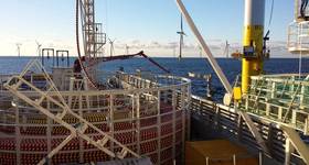 © Matvejs / Adobe Stock