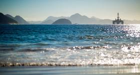 © lazyllama / Adobe Stock

