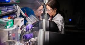Sandia National Laboratories electrochemist Aliya Lapp prepares a sample of upcycled lithium battery cathode for testing. (Photo by Craig Fritz)