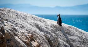 © Martijn / Adobe Stock
