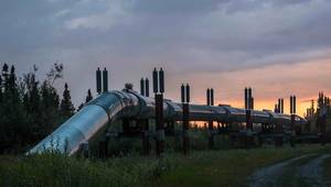 © Adobe Stock/Victoria Ditkovsky