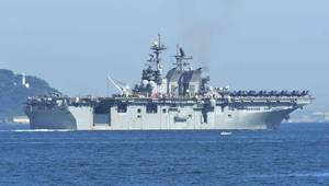 © Adobe Stock/zapper