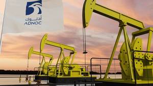 © Alexander Sánchez - stock.adobe.com