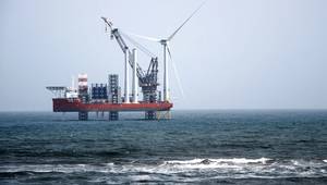 Copyright iweta0077/AdobeStock