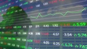 Copyright vectorfusionart/AdobeStock