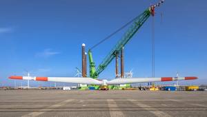 © creativenature.nl / Adobe Stock